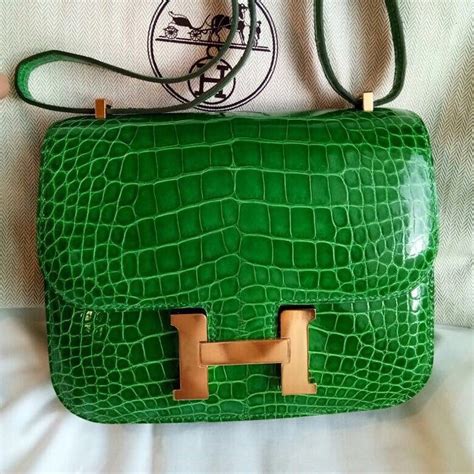 hermes constance mini alligator